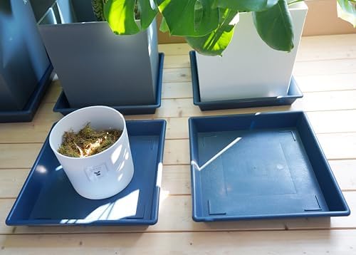 NIMYAU Square Plant Saucer 14 Inch 2 Pack 6 8 10 12 14 16 18 20 Inch, Plant Trays for Pots Heavy Duty Plastic Plant Saucers for Indoors Outdoors, Flower Pot No Holes Plant Drip Trays - Image 5