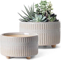 LE TAUCI Succulent Pots, 6.5+8 Inch Ceramic Indoor Plant Pot with Drainage Hole, Shallow Round Succulent Planters, Set of 2, Reactive Glaze Star White by LETAUCI