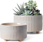 LE TAUCI Succulent Pots, 6.5+8 Inch Ceramic Indoor Plant Pot with Drainage Hole, Shallow Round Succulent Planters, Set of 2, Reactive Glaze Star White by LETAUCI