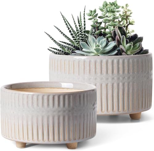 LE TAUCI Succulent Pots, 6.5+8 Inch Ceramic Indoor Plant Pot with Drainage Hole, Shallow Round Succulent Planters, Set of 2, Reactive Glaze Star White by LETAUCI
