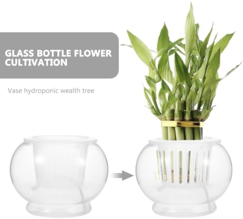 Totority Hydroponic Plant Vase Round Glass Desktop Planter - Image 3