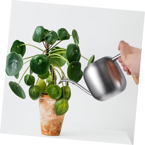 Mikikit Small Stainless Steel Watering Can with Long Spout for Indoor Plants Garden Kettle Tool with Handle Practical Sprinkling Can for Office and Home Gardening - Image 5