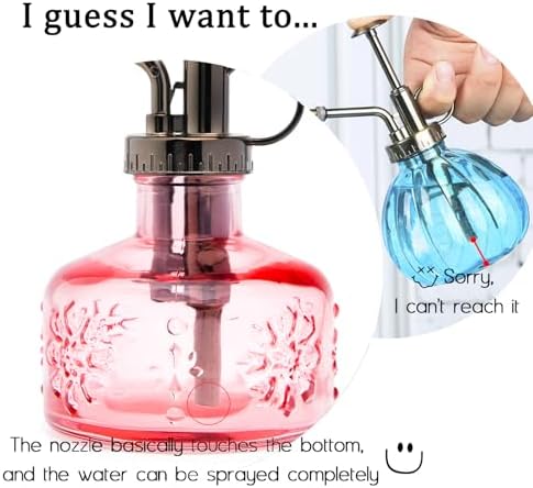 XXXFLOWER Glass Plant Mister Spray Bottle+3 Bulb Glass Propagation Station - Image 5
