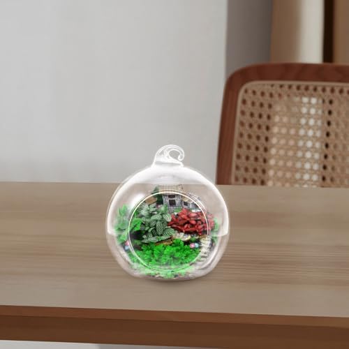 Glass Globe Terrarium Hanging Planter 12pcs for Succulents and Moss - Image 4