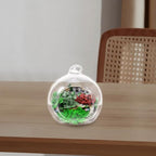 Glass Globe Terrarium Hanging Planter 12pcs for Succulents and Moss - Image 4