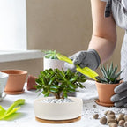 Tofficu White Ceramic Bonsai Plant Pot with Tray, Round Succulent Planter Pot for Small Plants, Prevent Over-Watering and Overflow, for Home and Balcony Gardening - Image 4