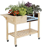 Raised Garden Bed with Legs and Wheels, Self-Watering System, 34x18x30in Elevated Planter Box with Storage Shelf & Liner for Flowers Vegetables Herbs, Raised Bed for Outdoor/Balcony/Patio by Cakhdry