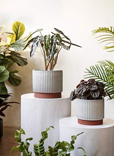 LE TAUCI Ceramic Pots for Plants, 8+6.7+5.5 Inch Plant Pots Indoor, Flower Pot with Drainage Holes, Medium Cylinder Planters for Indoor House Plants, Set of 3, Reactive Glaze White - Image 3