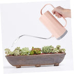 Xmas 2pcs Plant Watering Can for Indoor Plants Long Spout - Image 4