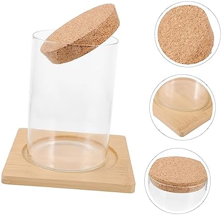 Cabilock Moss Eco Bottle Plant Propagation Terrarium Glass Succulent Jar Micro Landscape Container Watering Globes - Image 6