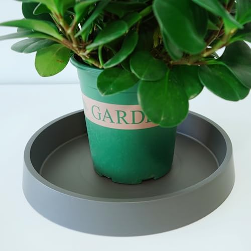 Plant Saucer Tray for Ceramic Plastic Pots, 18 inch Plant Saucers for Indoors, Pot Saucers Trays, Bird Bath Bowls, Flower Planter Water Drip Trays for Pots Base (18", Gray) - Image 4
