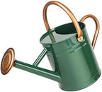 Metal Watering Can with Removable Spout, Galvanized Steel Plants Water Can for Women, Men and Kids' Outdoor or Indoor Gardening - Nice Flower Watering Pot Gift & Decoration (Green, 0.6 Gallon) by Megawodar