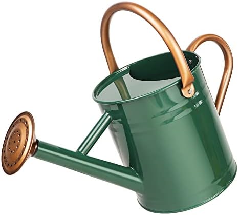 Metal Watering Can with Removable Spout, Galvanized Steel Plants Water Can for Women, Men and Kids' Outdoor or Indoor Gardening - Nice Flower Watering Pot Gift & Decoration (Green, 0.6 Gallon) by Megawodar