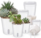 Ziliny Self Watering Pots Plastic Plant 3 Sizes Flower Plant Pot with Inner White Flower Pots for House Indoor Plants Plastic Self Watering Pot for Herbs Flowers (9 Pcs,S,M,L) by Ziliny