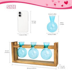 XXXFLOWER Glass Plant Mister Spray Bottle+3 Blue Bulb Glass Propagation Station - Image 7