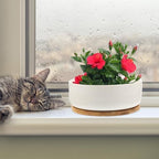 VILLCASE White Ceramic Small Bonsai Pots with Tray, Round Succulent Planter Pot for Home and Balcony, Designed to Collect Excess Water and Prevent Over-Watering - Image 4