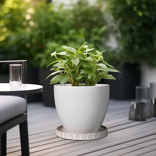 Eightpot Plant Saucer for Indoors - Ceramic Plant Saucer for Outdoors 11.4 Inch Plant Water Catcher Tray Plant Pot Saucer Plant Drip Tray Drainage Large Plant Plates to Catch Water, Cream White - Image 4