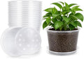 MIXC Clear Nursery Pots with Drainage Holes and Saucers, 12Inch, 12Pack by MIXC