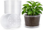 MIXC Clear Nursery Pots with Drainage Holes and Saucers, 12Inch, 12Pack by MIXC
