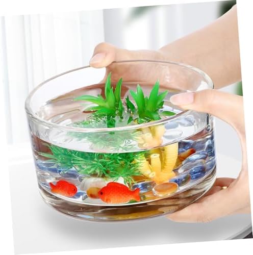 Glass Flowerpot Planter Decorative Bowl Round Vase for Hydroponic Plant Wedding - Image 6