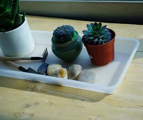 VUWEZ 2 Pack of Plastic Plant Tray Saucer Rectangular 30 inch, Plant Trays Saucers for Indoors Outdoor, Plant Water Drip Tray for Flower Pot Planter, Windowsill Plant Tray (8 X 30'', Clear) - Image 5