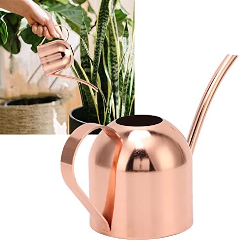 Indoor Outdoor Stainless Steel Watering Cans, Watering Can Metal with Long Spout for House Plants Long Spout Water Can for Succulent Bonsai Garden Flower - Image 3