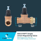 Cash Acme EB45 Pressure Regulating Valve, Single Union, 3/4 Inch NPT Female x NPT Female, Poly Top, 60 PSI, PVA16P-SUTH-60 - Image 5