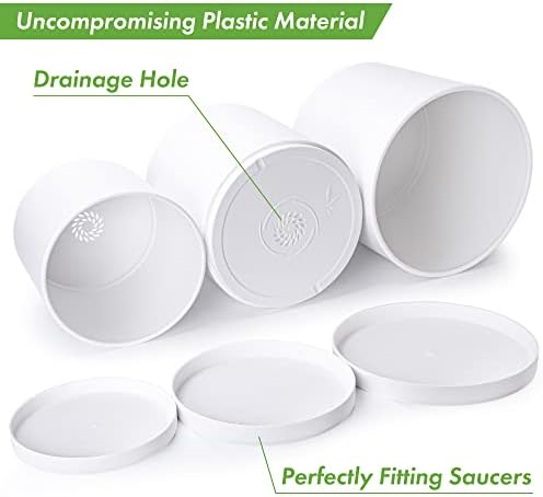 D'vine Dev 3-Pack Plastic Pots & Saucers, 8/10/12 in, White, 74-V-A-5 - Image 4