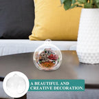 Glass Globe Terrarium Hanging Planter 12pcs for Succulents and Moss - Image 5