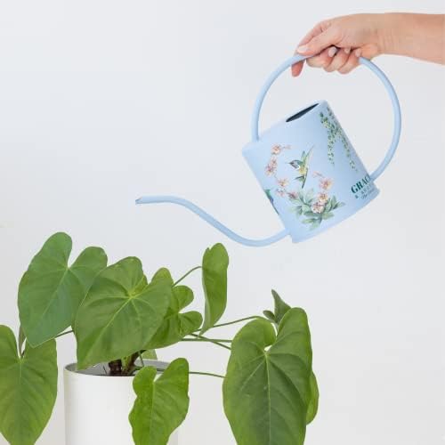 Indoor Watering Can & Mist Spray Bottle Set for Indoor Plants - Decorative - Image 4
