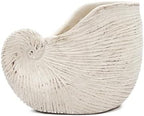Nautilus Shell Planter, 8.5 Inch, Beige - Image 5