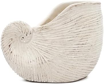Nautilus Shell Planter, 8.5 Inch, Beige - Image 5