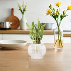 Glass Hydroponic Planter Vase for Desktop Plants and Flowers - Image 5