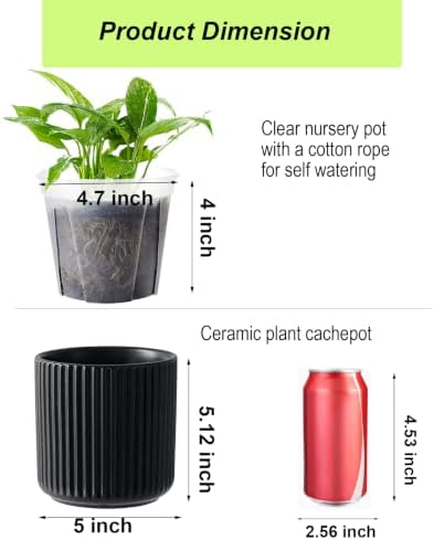 Ceramic Orchid Pot, Clear Nursery Pot & self Watering,5 inch,Black - Image 2