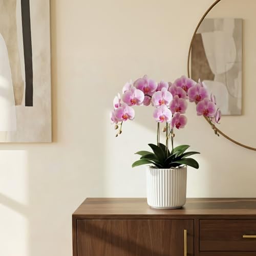 Orchid Pot,Ceramic Plant Pot with Clear Orchid Pot,6 inch,White - Image 7