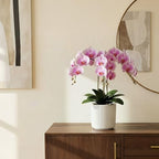 Orchid Pot,Ceramic Plant Pot with Clear Orchid Pot,6 inch,White - Image 7