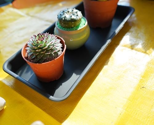 VUWEZ 4 Pack of Plastic Plant Tray Saucer Rectangular 16 inch, Plant Trays Saucers for Indoors Outdoor, Plant Water Drip Tray for Flower Pot Planter, Windowsill Plant Tray (7.0 X 16.1'', Black) - Image 6