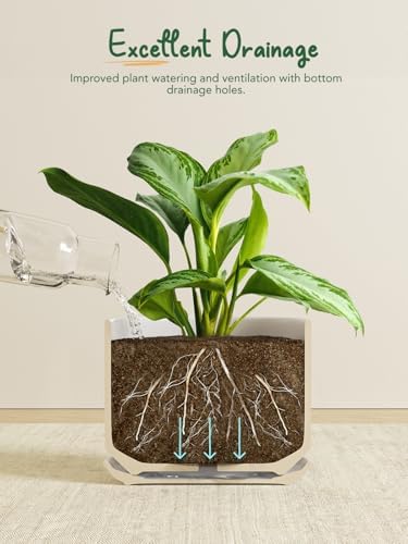 LE TAUCI 8 Inch Plant Pot, Ceramic Pots for Plants, Forest Green - Image 4