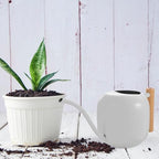 LALAFINA Indoor Watering Can with Long Spout and Wood Handle 1200ml Stainless Steel Watering Pot for Indoor Plants and Garden Flowers for Houseplants and Bonsai - Image 5