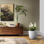 Kante 18" Dia Round Concrete Planter, Large Bowl Pot, White - Image 6