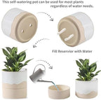Nihow Self Watering Ceramic Planter, 4.5+6 Inch, White & Nature - Image 3