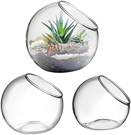3 Pcs Glass Terrarium Plant Containers with Beveled Openings for Air Plants Succulents Desktop Vases Home Office Decorative Bowls by NULYLU