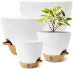 4-Pack Large Self Watering Pots for Indoor Plants, 12/10/9/8 Inch Planters with Visible Water Level Window, Automatic Watering System for Monstera, Fiddle Leaf, Herbs, Succulents, White by MNKXL