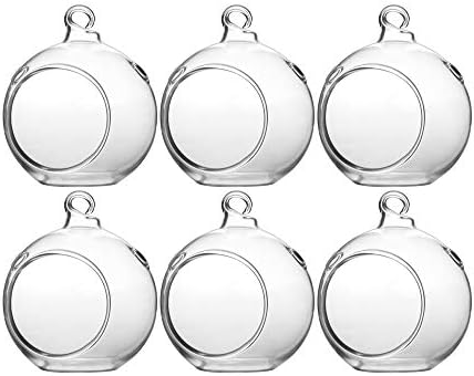 WGV Hanging Terrarium Globe, Width 2.5", Height 3", DIY Air Succulent Planter, Clear Glass Vase Orb with Flat Bottom, Candle Holder for Windowsill Outdoor Garden Decor, 6 Pieces Bulk by WGVInternational-OpusGlassware