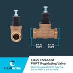 Cash Acme EB45 Pressure Regulating Valve, 3/4 Inch NPT Threaded, Poly Top, 60 PSI, PVA16P-DTH-60 - Image 5