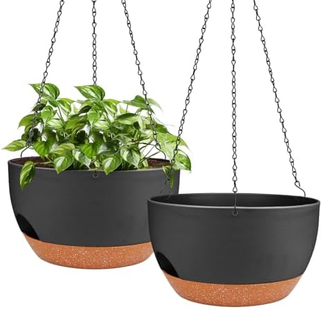 12 Inch Self Watering Hanging Planters with Removable Reservoir, 2 Pack by Lucieblessdesign