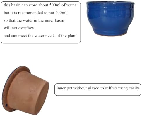 African Violet Pots Self Watering Blue 6 inch - Image 3