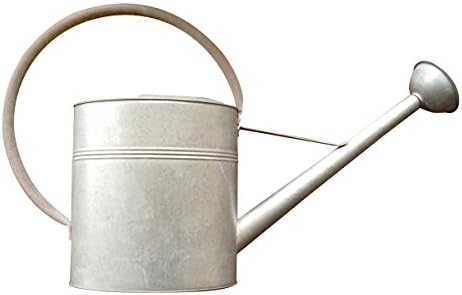 Panacea Extra Large Vintage Galvanized Watering Can by Panacea