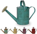 Robert Allen Home & Garden MPT01182 Metal Watering can, 1 Gallon, Surf by Unknown
