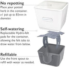 Cole & Mason Self-Watering Single Potted Herb Keeper, Indoor Herb Box, 21 cm, White/Grey, Self Watering, Includes 4 x Pads - Image 4